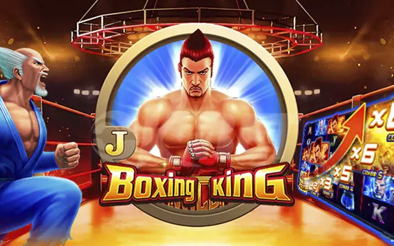 Win big with official Baji Boxing King slots.